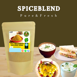 4-in-1 Masala – Chaat | Sandwich | Chaas | Raita (100g)